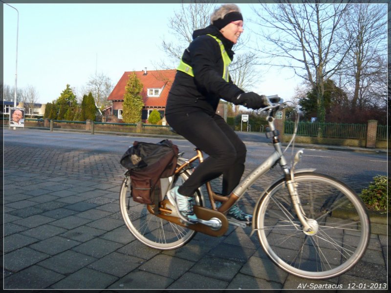 nieuwjaarsloop201365.jpg